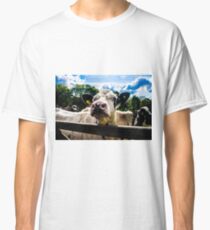 Product Placement Classic T-Shirt