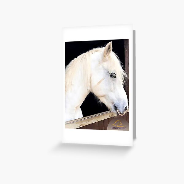 Billy Collection Greeting Card