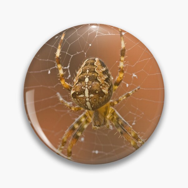 Item preview, Garden spider, Araneus diadematus designed and sold by Jon Lees.