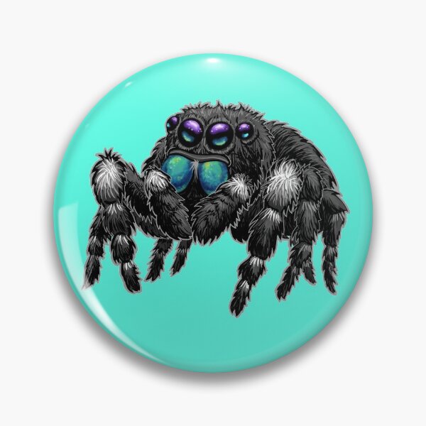 Artikelvorschau, Wagemutige springende Spinne Phidippus Audax entworfen und verkauft von RJKpoyp.