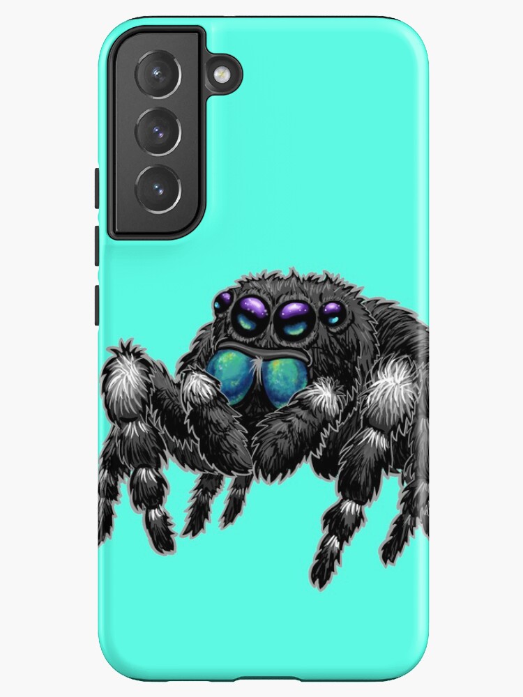 Bold Jumping Spider  Phidippus adax - 40% OFF