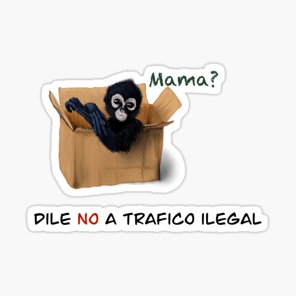 Dile No a trafico ilegal mono Sticker