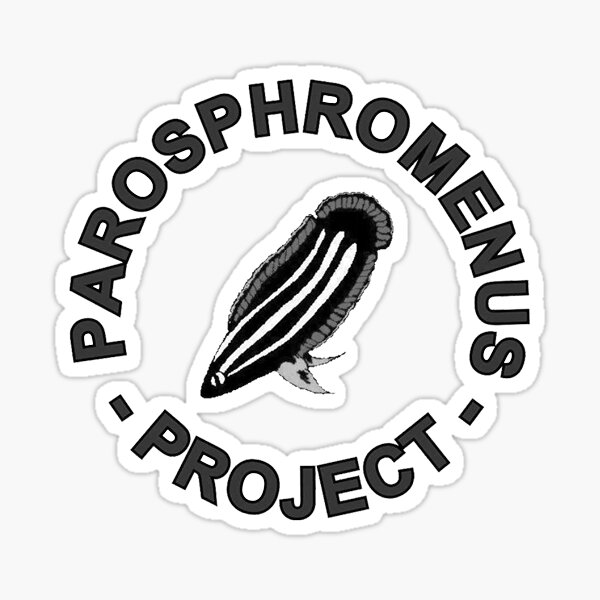 Parosphromenus project logo without background Sticker