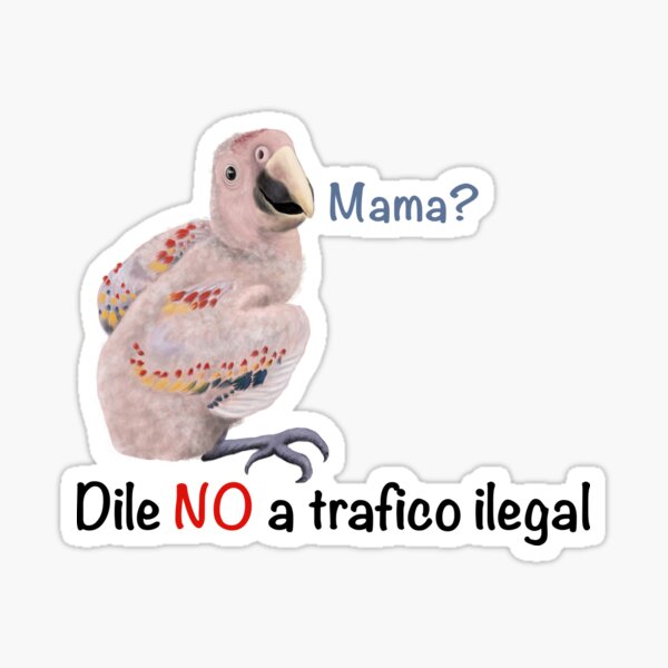 Dile No a trafico ilegal guacamaya Sticker