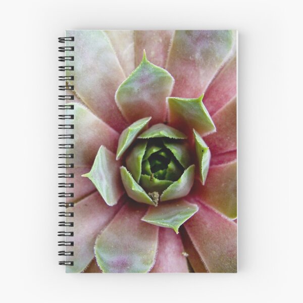 Item preview, Sedum designed and sold by frommyhorizon.