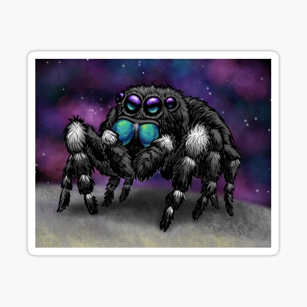 Bold Jumping Spider in Space Sticker