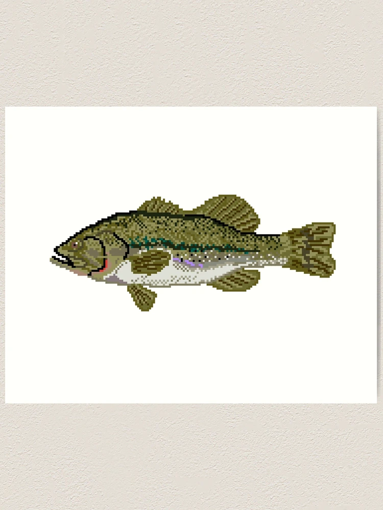 Bass River Art Prints for Sale - Pixels Merch