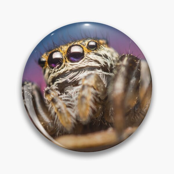 Item preview, Evarcha arcuata(Salticidae) jumping spider designed and sold by Mario Cehulic.
