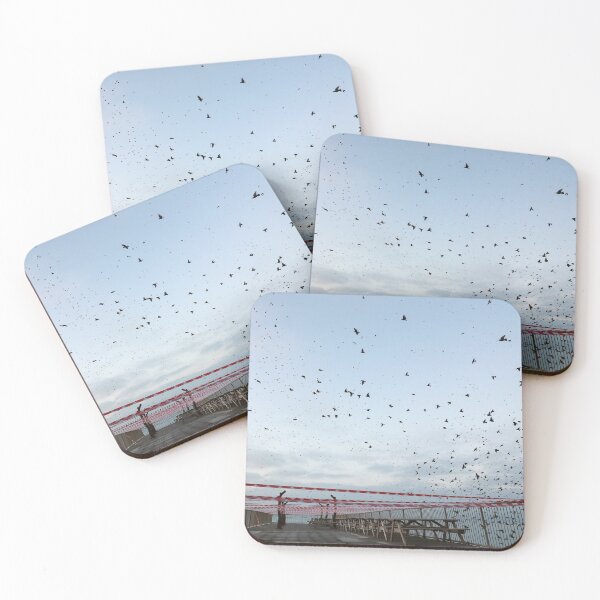 Item preview, Starling rush hour designed and sold by GreyFeatherPhot.