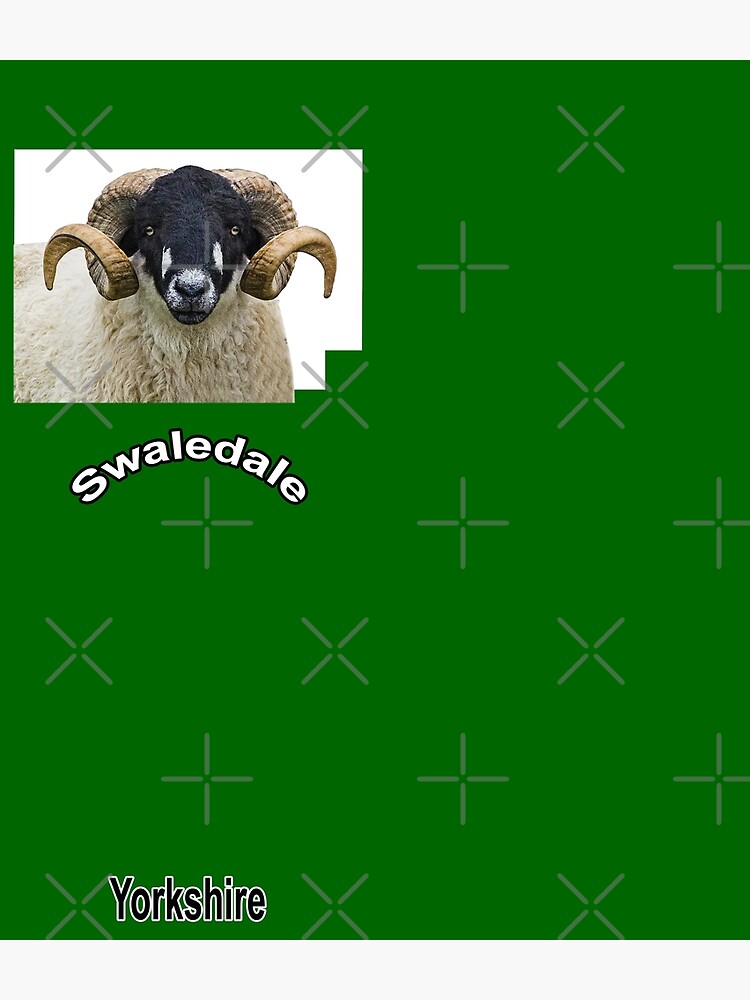 Swaledale sheep Backpack sold by CheryKing | SKU 24655048 | Printerval