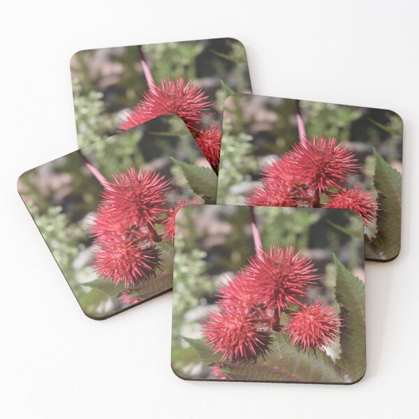 Item preview, Castor Bean designed and sold by Roger Fowler.