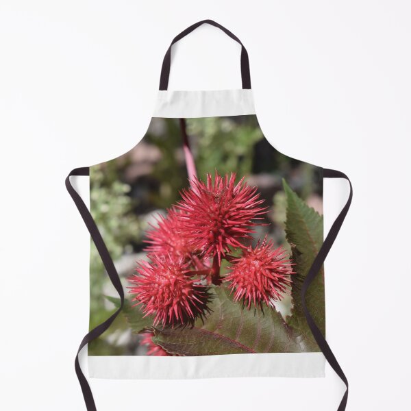 Item preview, Castor Bean designed and sold by Roger Fowler.