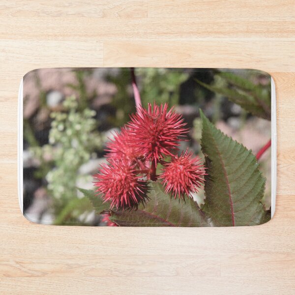Item preview, Castor Bean designed and sold by Roger Fowler.