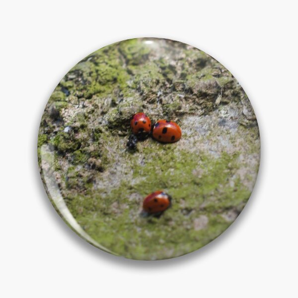 Item preview, loveliness (a group of ladybirds) designed and sold by Oliviasphoto.