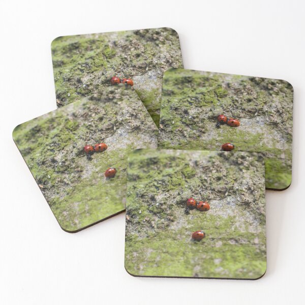 Item preview, loveliness (a group of ladybirds) designed and sold by Oliviasphoto.