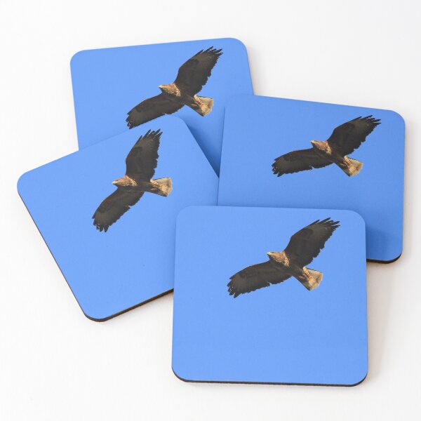 Item preview, Common Buzzard in flight designed and sold by Jon Lees.