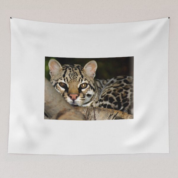 Item preview, Ocelot designed and sold by pcfyi.