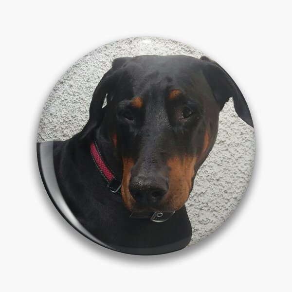 Artikelvorschau, Hund, Haustier, Dobermann entworfen und verkauft von Sternchen2789.