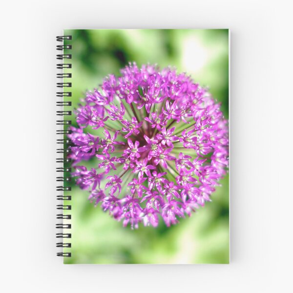 Item preview, Allium designed and sold by Limo-Studios.
