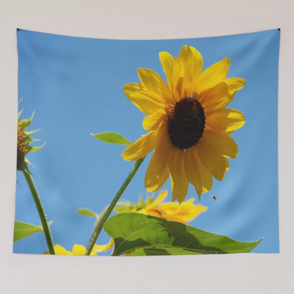Item preview, Seneca Lake Sunflower > designed and sold by John Schneider.