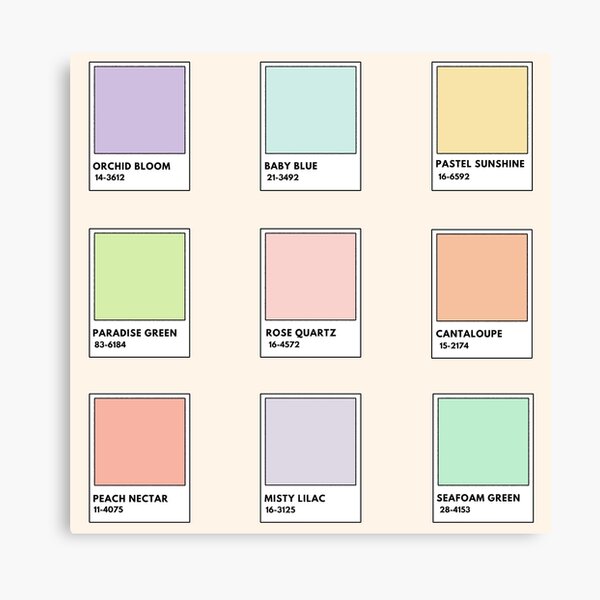 Canva Pastel Colors Ubicaciondepersonas cdmx gob mx