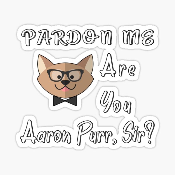 Cute Hamilton Cat pardon me are you aaron purr shirt