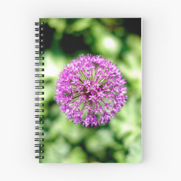 Item preview, Allium designed and sold by Limo-Studios.