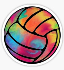 Rainbow Volleyball Sticker