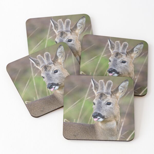 Item preview, Roe Deer designed and sold by Steve Liptrot Photography.