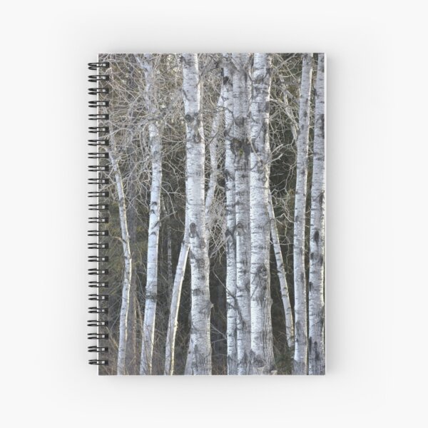Aspen Spiral Notebook