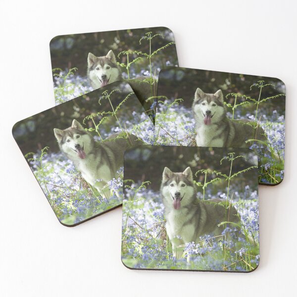 Item preview, Husky Dog in a Field of Flowers designed and sold by ScienceSource.
