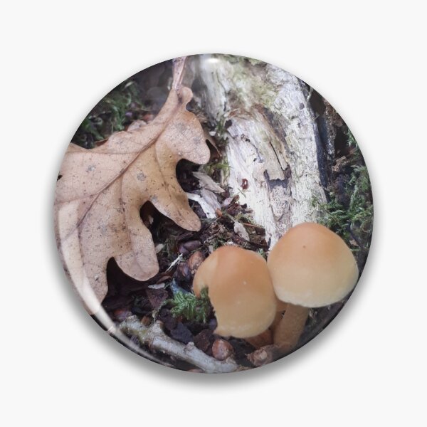 Artikelvorschau, Herbstwald entworfen und verkauft von Narwhalbubbles.