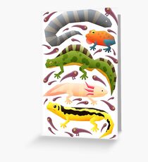 Amphibians Greeting Card