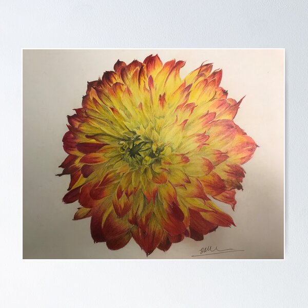 Item preview, Dahlia designed and sold by Stacey Marie Tomkinson.