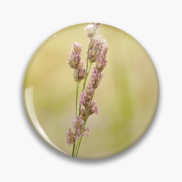 Item preview, Grass, Graminaea, Cocksfoot, or Orchardgrass designed and sold by Hugh McKean.