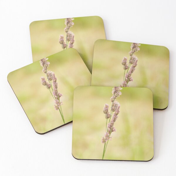 Item preview, Grass, Graminaea, Cocksfoot, or Orchardgrass designed and sold by Hugh McKean.