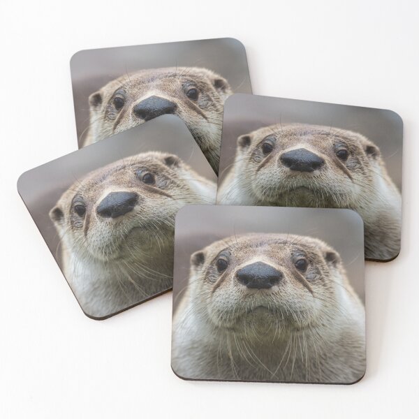 Item preview, North American River Otter closeup looking straight designed and sold by Rabbitti.