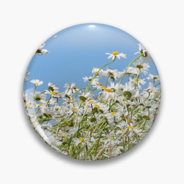 Item preview, Oxeye daisy Leucanthemum vulgare designed and sold by Hugh McKean.