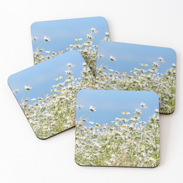 Item preview, Oxeye daisy Leucanthemum vulgare designed and sold by Hugh McKean.
