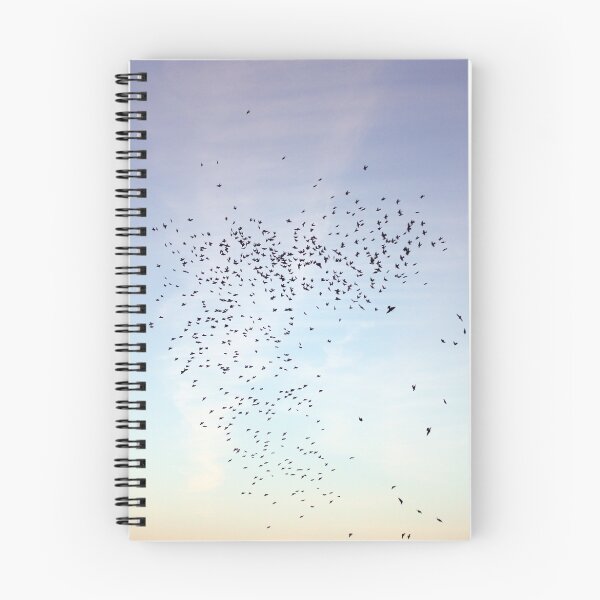 Item preview, Starlings at sunset designed and sold by GreyFeatherPhot.