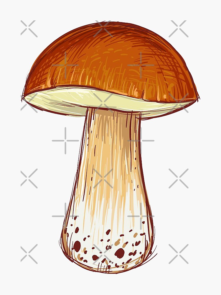 "Mushroom drawing" Sticker for Sale by vuilwerk Redbubble