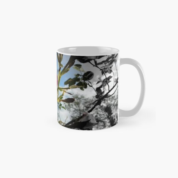 Red Rose with Black and White American Flag Nature Background Classic Mug