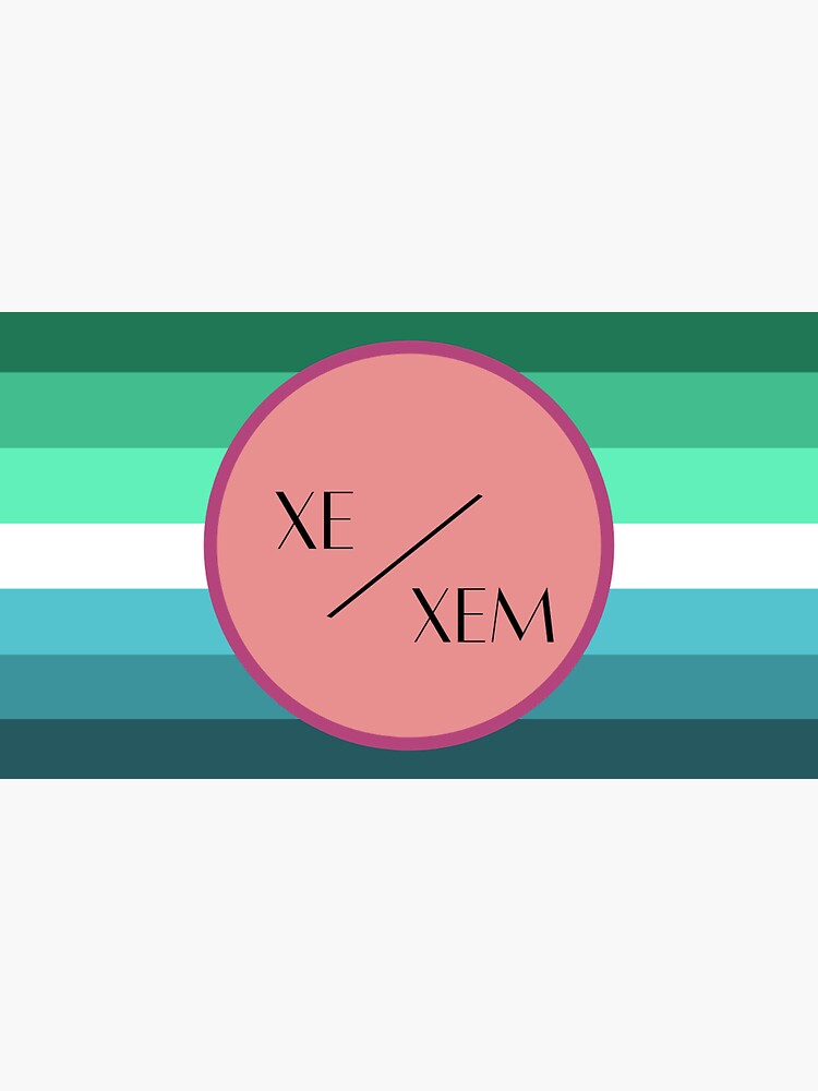 How To Use Xe Xem Pronouns In A Sentence