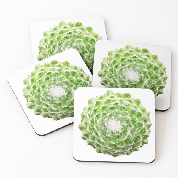 Item preview, Cobweb houseleek designed and sold by troianifabrizio.