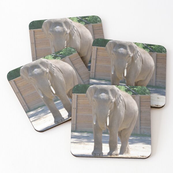 Item preview, Asian Elephant - Beco designed and sold by akdcash.