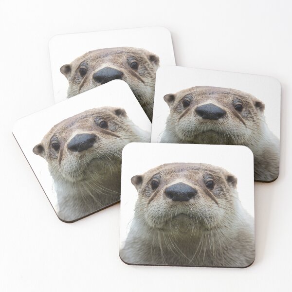 Item preview, North American River Otter closeup looking straight transparent background designed and sold by Rabbitti.