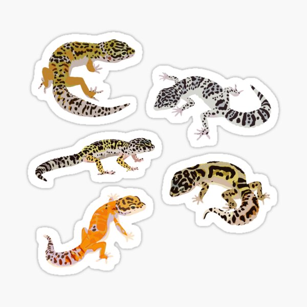 Artikel-Vorschau von LEOPARD GECKO PACK, designt und verkauft von frogkiing.