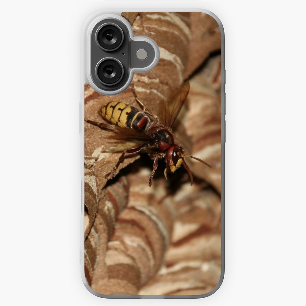 Artikel-Vorschau von iPhone Flexible Hülle, designt und verkauft von Sonja-Haueisen.