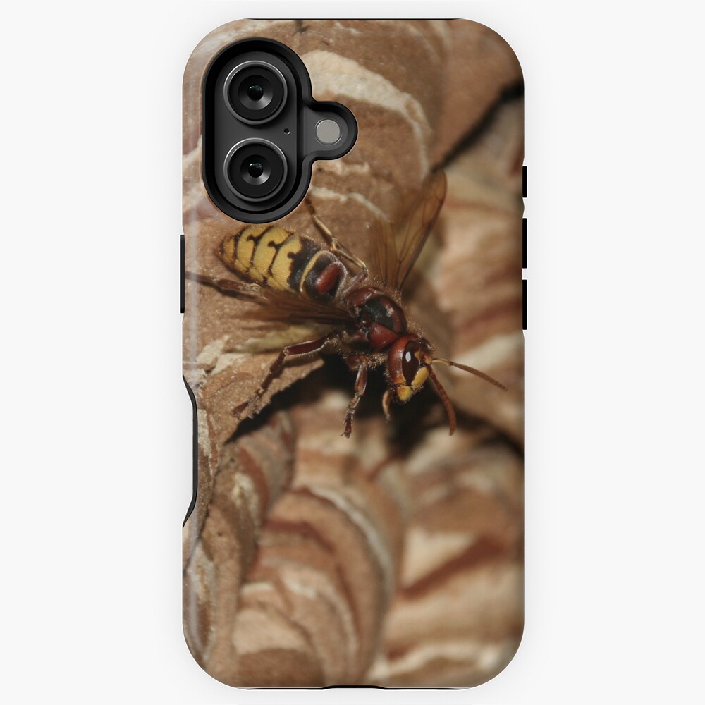 Artikel-Vorschau von iPhone Robuste Hülle, designt und verkauft von Sonja-Haueisen.