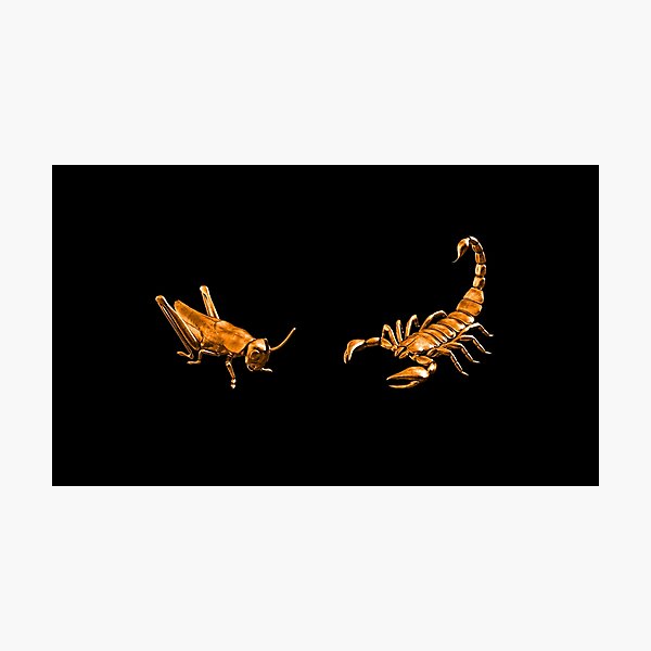 Aperçu de l'œuvre Le scorpion ou la sauterelle? - Design métallique orange créée et vendue par Timebird.